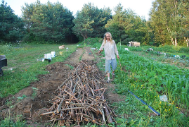 hugelkultur sticks