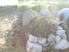 raised garden bed